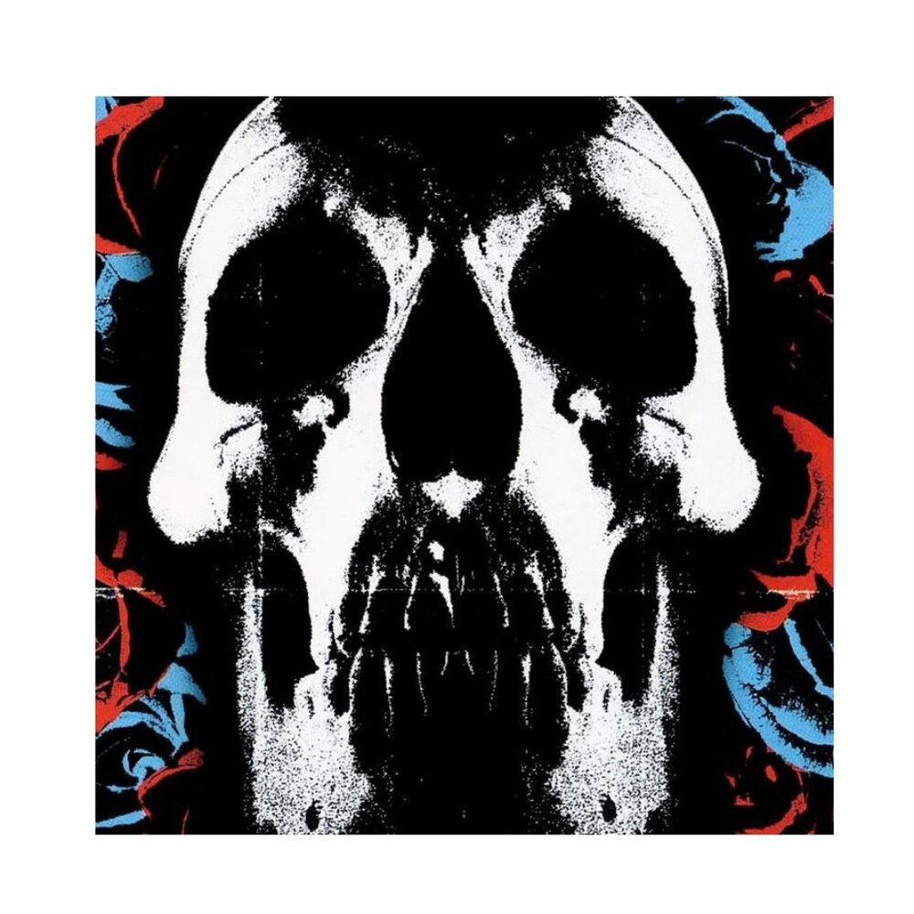 Deftones Album Punk Poster 165